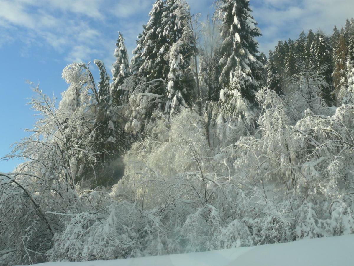 Apartmaji Tina Zgornje Gorje ภายนอก รูปภาพ